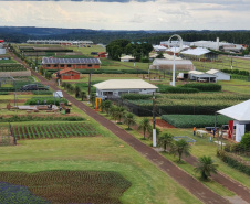 Pessoas privadas de liberdade atuam na preparação do 35° Show Rural de Cascavel