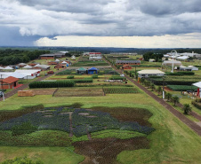 Pessoas privadas de liberdade atuam na preparação do 35° Show Rural de Cascavel