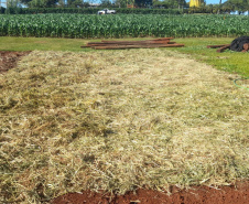 IDR-Paraná leva discussão sobre manejo da umidade do solo em lavouras anuais ao Show Rural