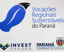 Estado quer fortalecer renda de artesãos com o programa Vocações Regionais Sustentáveis