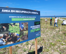 Projeto do IAT em parceria com a prefeitura de Pontal do Paraná recuperou uma área de 350 metros quadrados de restinga