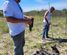 Projeto do IAT em parceria com a prefeitura de Pontal do Paraná recuperou uma área de 350 metros quadrados de restinga