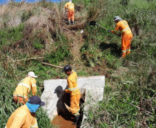 DER/PR recupera rapidamente quedas de barreiras em rodovia nos Campos Gerais