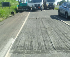 DER/PR recupera rapidamente quedas de barreiras em rodovia nos Campos Gerais