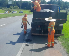 DER/PR recupera rapidamente quedas de barreiras em rodovia nos Campos Gerais