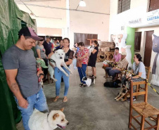 CastraPet Paraná alcança 73 mil animais esterilizados em 218 municípios