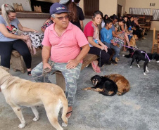 CastraPet Paraná alcança 73 mil animais esterilizados em 218 municípios