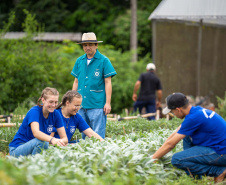  Educação aumenta alimentos orgânicos na merenda e ensina prática nas escolas