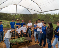  Educação aumenta alimentos orgânicos na merenda e ensina prática nas escolas