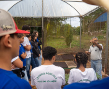  Educação aumenta alimentos orgânicos na merenda e ensina prática nas escolas