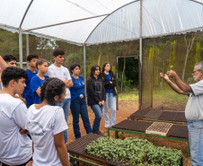  Educação aumenta alimentos orgânicos na merenda e ensina prática nas escolas