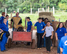  Educação aumenta alimentos orgânicos na merenda e ensina prática nas escolas