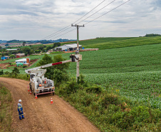 PR Trifásico conclui a construção de 11.245 km de redes e já beneficia 315 municípios 