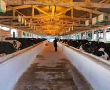 48ª Expo Umuarama