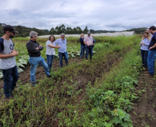 Ações do IDR-Paraná preservam recursos hídricos