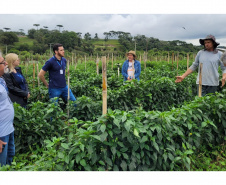 Ações do IDR-Paraná preservam recursos hídricos