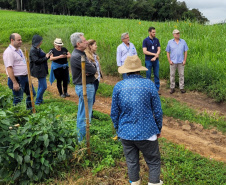 Ações do IDR-Paraná preservam recursos hídricos