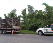 Em um ano, DER realiza 80 mil atendimentos nas rodovias do Anel de Integração 