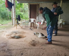 Operação do IAT no Rio Paraná busca combater a prática da pesca ilegal. Foram recolhidos materiais proibidos e aplicadas multas.