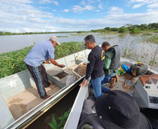 Operação do IAT no Rio Paraná busca combater a prática da pesca ilegal. Foram recolhidos materiais proibidos e aplicadas multas.