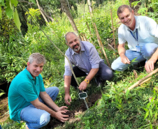 Regionais do IAT plantaram cerca de 18 mil mudas em diferentes localidades do Estado para recuperar matas ciliares