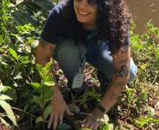 Regionais do IAT plantaram cerca de 18 mil mudas em diferentes localidades do Estado para recuperar matas ciliares