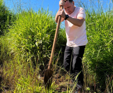 Regionais do IAT plantaram cerca de 18 mil mudas em diferentes localidades do Estado para recuperar matas ciliares