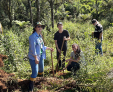 Regionais do IAT plantaram cerca de 18 mil mudas em diferentes localidades do Estado para recuperar matas ciliares