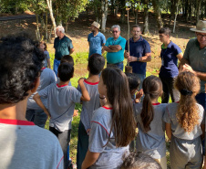 Regionais do IAT plantaram cerca de 18 mil mudas em diferentes localidades do Estado para recuperar matas ciliares