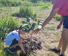 Regionais do IAT plantaram cerca de 18 mil mudas em diferentes localidades do Estado para recuperar matas ciliares