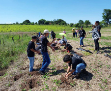 Regionais do IAT plantaram cerca de 18 mil mudas em diferentes localidades do Estado para recuperar matas ciliares