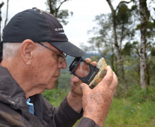 IAT Mineração