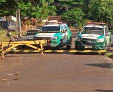 Captura da onça parda mobilizou técnicos do Instituto Água e Terra (IAT), militares do Batalhão de Polícia Ambiental-Força Verde (BPAmb-FV) e um médico veterinário anestesista. Animal é um macho com 36 quilos, jovem e saudável.