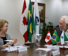 Paraná negocia fortalecimento de parceiras com o Canadá em diversas áreas. Governador em exercício, Darci Piana com a Cônsul-geral  do Canadá em São Paulo Heather Cameron e o chefe do escritório da Região Sul, Paulo Orlandi e os Secretarios Aldo Bona, da Ciência e Tecnologia  e Roni Miranda da Educação Foto Gilson Abreu/Aen