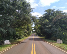 Reforma de pontes e viadutos no Norte e Vale do Ivaí passam para fase de habilitação 