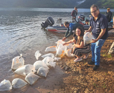 Soltura de peixe surubim na da 7ª Copa Iguaçu de Pesca Esportiva