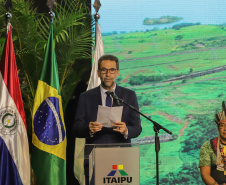 GOVERNADOR EM EXERCÍCIO - FOZ