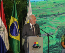 GOVERNADOR EM EXERCÍCIO - FOZ