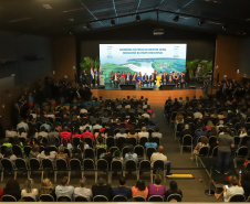 GOVERNADOR EM EXERCÍCIO - FOZ