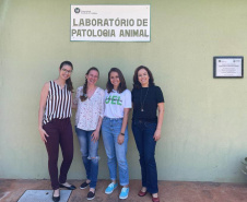 Mulheres são maioria nas universidades estaduais do Paraná