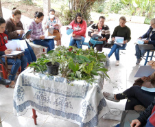 Projeto da Unicentro incentiva autonomia de agricultoras por meio do uso  de plantas medicinais