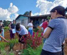 Projeto da Unicentro incentiva autonomia de agricultoras por meio do uso  de plantas medicinais