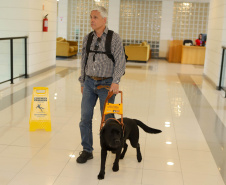 Governo recebe Rock e Roberto Leite, dupla de cego e cão-guia que vai trabalhar em órgão estadual