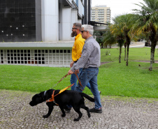 Governo recebe Rock e Roberto Leite, dupla de cego e cão-guia que vai trabalhar em órgão estadual