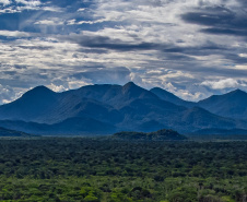 Copel comemora sucesso da chamada pública na área de hidrogênio verde