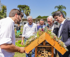 Abelas nativas - jardins palácio