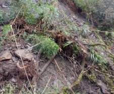 PR-090 em Campo Largo é atingida por queda de barreira