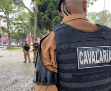 PMPR lança Operação Saturação em Curitiba com reforço de equipes do Verão Maior Paraná
