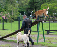 1ª Cãominhada das Forças Policiais