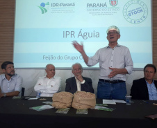 Lançamento do Feijão IPR Águia, em Ponta Grossa